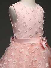 preiswerte Kleider für die Blumenmädchen-kinderkleidung Mädchen Blumenmädchen Kleid Kleid Einfarbig Ärmellos Leistung Hochzeit Party Spitze Rüschen Gitter Kuschelig Prinzessin Polyester Maxi A Linie Kleid Tüll-Kleid Blumenmädchenkleid