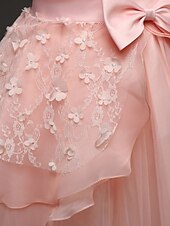 preiswerte Kleider für die Blumenmädchen-kinderkleidung Mädchen Blumenmädchen Kleid Kleid Einfarbig Ärmellos Leistung Hochzeit Party Spitze Rüschen Gitter Kuschelig Prinzessin Polyester Maxi A Linie Kleid Tüll-Kleid Blumenmädchenkleid