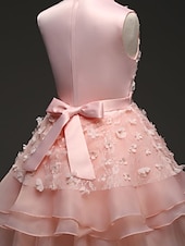 preiswerte Kleider für die Blumenmädchen-kinderkleidung Mädchen Blumenmädchen Kleid Kleid Einfarbig Ärmellos Leistung Hochzeit Party Spitze Rüschen Gitter Kuschelig Prinzessin Polyester Maxi A Linie Kleid Tüll-Kleid Blumenmädchenkleid