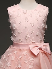 preiswerte Kleider für die Blumenmädchen-kinderkleidung Mädchen Blumenmädchen Kleid Kleid Einfarbig Ärmellos Leistung Hochzeit Party Spitze Rüschen Gitter Kuschelig Prinzessin Polyester Maxi A Linie Kleid Tüll-Kleid Blumenmädchenkleid