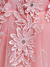 preiswerte Kleider für die Blumenmädchen-Kinder Mädchenkleid Blumen einfarbig A-Linienkleid Aufführung Hochzeit Party Rüschen Mesh Rosa Hellblau Weiß Maxi Ärmellos Niedlich Prinzessinnenkleider Sommer Herbst Normale Passform 3-12 Jahre
