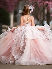 ieftine Rochii cu Flori-Copii Fete Rochie de fată cu flori Rochie Floral Floare Fără manșon Performanță Nuntă Petrecere Zdrobit Plasă Imprimeu Prințesă Dulce Bumbac Tulle Asimetric Rochie leagăn Rochie A line Vară 3-12 ani