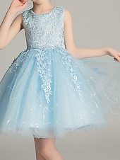 baratos Vestidos para Menina das Flores de Casamento-Princesa Acima do Joelho Vestido para Meninas das Flores Primeira Comunhão Lindo Vestido de Baile Renda com Pétala Ajuste 3-16 anos