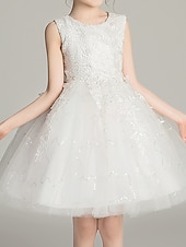 baratos Vestidos para Menina das Flores de Casamento-Princesa Acima do Joelho Vestido para Meninas das Flores Primeira Comunhão Lindo Vestido de Baile Renda com Pétala Ajuste 3-16 anos