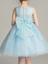 baratos Vestidos para Menina das Flores de Casamento-Princesa Acima do Joelho Vestido para Meninas das Flores Primeira Comunhão Lindo Vestido de Baile Renda com Pétala Ajuste 3-16 anos