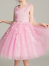 baratos Vestidos para Menina das Flores de Casamento-Princesa Acima do Joelho Vestido para Meninas das Flores Primeira Comunhão Lindo Vestido de Baile Renda com Pétala Ajuste 3-16 anos
