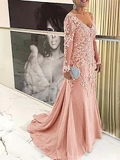 preiswerte Bodenlänge-Strandhochzeit Meerjungfrau Plus Size Curve Mutter der Braut Kleider Elegantes Kleid Formelle Hochzeitsgast Schlepp  Pinselzug Langarm V-Ausschnitt Spitze mit Applikationen 2025 kostenlose