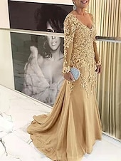 preiswerte Bodenlänge-Strandhochzeit Meerjungfrau Plus Size Curve Mutter der Braut Kleider Elegantes Kleid Formelle Hochzeitsgast Schlepp  Pinselzug Langarm V-Ausschnitt Spitze mit Applikationen 2025 kostenlose
