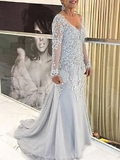 preiswerte Bodenlänge-Strandhochzeit Meerjungfrau Plus Size Curve Mutter der Braut Kleider Elegantes Kleid Formelle Hochzeitsgast Schlepp  Pinselzug Langarm V-Ausschnitt Spitze mit Applikationen 2025 kostenlose