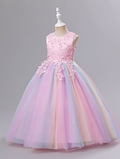 preiswerte Kleider für die Blumenmädchen-Kinder Mädchenkleid Blumen einfarbig A-Linienkleid Aufführung Hochzeit Party Rüschen Mesh Rosa Hellblau Weiß Maxi Ärmellos Niedlich Prinzessinnenkleider Sommer Herbst Normale Passform 3-12 Jahre