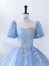levne Plesové šaty-K zápasovým šatům Quinceanera princezny šaty představení Sweet 16 podlahová délka krátký rukáv čtvercový výstřih s perlami a aplikacemi šaty k ohromení