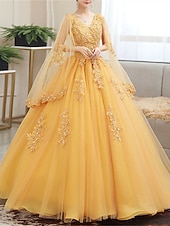  Robe de bal Longueur au sol Robes de Bal Princesse Bouffant Manche Courte Col en V Performance 16 Ans Tulle avec Appliques