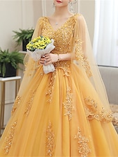  Robe de bal Longueur au sol Robes de Bal Princesse Bouffant Manche Courte Col en V Performance 16 Ans Tulle avec Appliques