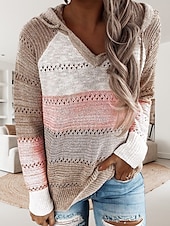 abordables Patrones gráficos y detalles-Mujer Suéter de punto Casual Suave Bloque de color Croché Con Capucha Delgado Manga Larga Sayo Tejer Trabajo Diario Festivos Negro Vino Otoño Invierno