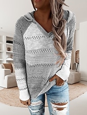 abordables Patrones gráficos y detalles-Mujer Suéter de punto Casual Suave Bloque de color Croché Con Capucha Delgado Manga Larga Sayo Tejer Trabajo Diario Festivos Negro Vino Otoño Invierno