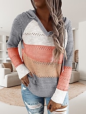 abordables Patrones gráficos y detalles-Mujer Suéter de punto Casual Suave Bloque de color Croché Con Capucha Delgado Manga Larga Sayo Tejer Trabajo Diario Festivos Negro Vino Otoño Invierno