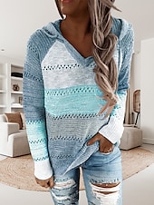 abordables Patrones gráficos y detalles-Mujer Suéter de punto Casual Suave Bloque de color Croché Con Capucha Delgado Manga Larga Sayo Tejer Trabajo Diario Festivos Negro Vino Otoño Invierno