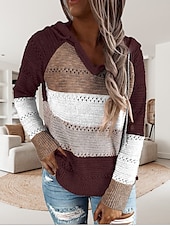 abordables Patrones gráficos y detalles-Mujer Suéter de punto Casual Suave Bloque de color Croché Con Capucha Delgado Manga Larga Sayo Tejer Trabajo Diario Festivos Negro Vino Otoño Invierno