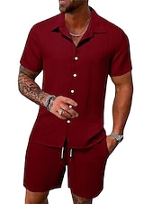 economico Set di camicie basic da uomo-Per uomo Due pezzi Camicia Estiva Set abbinati Abbigliamento da spiaggia Camicia casual Camicia con Bottoni Nero Bianco Rosa Rosso Blu marino scuro Manica Corta Semplice Strisce / increspature Bavero