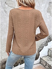 cheap Plain Tops-Women&#039;s Shirt Lace Shirt Blouse Eyelet top Color Block Plain Fashion Long Sleeve Round Neck Regular Tops Work Buttons Black White Purple Brown Beige Spring &amp;  Fall