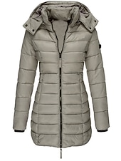 ieftine jachetă activă-Pentru femei Fâș Geacă puffer Palton Izolate Termic cald Fermoar Activ Zilnic Exterior Comfortabil Culoare solidă În aer liber Purtare Zilnică Casul / Zilnic Capișon Fit regulat Manșon Lung