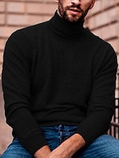 cheap Men&#039;s Pullover Sweater-Men&#039;s Turtleneck Sweater Pullover Sweater Jumper Mens Turtle Neck Jumper Ribbed Knit Regular Knit Plain Turtleneck Modern Contemporary Slim Fit Work Daily Wear Clothing Apparel Fall &amp; Winter Wine