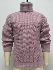 abordables suéter de los hombres-Hombre Abrigo de cuello alto Pulóveres Suéter de punto Jersey de cuello alto para hombre Pull-over Fornido Tejer Regular Color sólido/liso Cuello Alto Ropa Cotidiana Ropa Otoño invierno Rosa M L XL