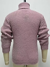 abordables suéter de los hombres-Hombre Abrigo de cuello alto Pulóveres Suéter de punto Jersey de cuello alto para hombre Pull-over Fornido Tejer Regular Color sólido/liso Cuello Alto Ropa Cotidiana Ropa Otoño invierno Rosa M L XL