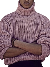 abordables suéter de los hombres-Hombre Abrigo de cuello alto Pulóveres Suéter de punto Jersey de cuello alto para hombre Pull-over Fornido Tejer Regular Color sólido/liso Cuello Alto Ropa Cotidiana Ropa Otoño invierno Rosa M L XL