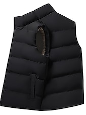 ieftine Gilete-Bărbați Vestă din lână Gilet Purtare Zilnică Vacanță Ieșire Modă De Bază Primăvara &amp; toamnă Buton Poliester Comfortabil Simplu Cu Un Nasture Guler în picioare În V Fit regulat Negru Roșu-aprins