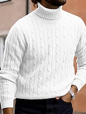 billige genser for menn-Herre Turtleneck genser Genser Riflet Kabel Strikke Strikket عادي Rullekrage Hold Varm Moderne Moderne Dagligdagstøy Ut på byen Klær Høst vinter Svart Hvit M L XL