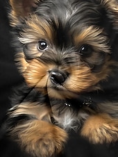 ieftine Tricou cu animale-tricou dama basic dog print maneca scurta topuri obisnuite gat rotund zilnic weekend negru
