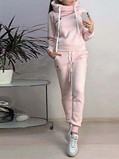 abordables Chándal de mujer-Mujer Pijamas Conjuntos Cálido Moda Felpa Color puro Sudadera Pantalón Hogar Diario Cama Manga Larga Sudadera Negro Rosa Azul Piscina Gris Claro Otoño Invierno