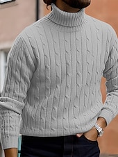 billige genser for menn-Herre Turtleneck genser Genser Riflet Kabel Strikke Strikket عادي Rullekrage Hold Varm Moderne Moderne Dagligdagstøy Ut på byen Klær Høst vinter Svart Hvit M L XL