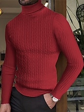 billige genser for menn-Herre Turtleneck genser Genser Herre Turtle Neck Jumper Riflet Kabel Strikke Strikket عادي Rullekrage Hold Varm Moderne Moderne Dagligdagstøy Ut på byen Klær Høst vinter Vin Svart M L XL