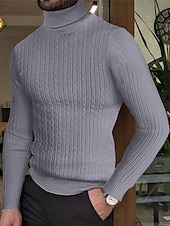 billige genser for menn-Herre Turtleneck genser Genser Herre Turtle Neck Jumper Riflet Kabel Strikke Strikket عادي Rullekrage Hold Varm Moderne Moderne Dagligdagstøy Ut på byen Klær Høst vinter Vin Svart M L XL