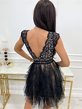 ieftine Rochii Party-Pentru femei Rochie de mireasa din dantela alba Rochii Boho Chic Rochie Boho pentru invitați de nuntă Rochie Mini Multistratificat cu Maneca Nuntă Dată Vacanță Linie A În V Fără manșon Negru Alb Roz