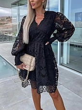 levne Bílé krajkové šaty-Dámské Bílé šaty Mini šaty Krajka s rukávem Dovolená Rande Elegantní A Do V Dlouhý rukáv Černá Bílá Fuchsiová Barva