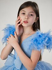 levne Párty šaty-Děti Dívčí Šaty na párty Pevná barva Bez rukávů Výkon Síťka Princeznovské Sladký Síťka Do půli lýtek Plášťové šaty Tylové šaty Léto Jaro Podzim 2-12 let Nebeská modř