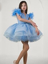 levne Párty šaty-Děti Dívčí Šaty na párty Pevná barva Bez rukávů Výkon Síťka Princeznovské Sladký Síťka Do půli lýtek Plášťové šaty Tylové šaty Léto Jaro Podzim 2-12 let Nebeská modř
