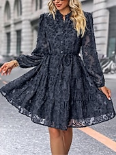 preiswerte Blumenkleider-Damen Spitzenkleid Minikleid Angeschnallt Ausgefallene Ständer Langarm Schwarz Wein Marineblau Farbe