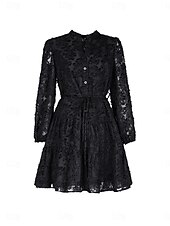 preiswerte Blumenkleider-Damen Spitzenkleid Minikleid Angeschnallt Ausgefallene Ständer Langarm Schwarz Wein Marineblau Farbe