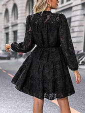 preiswerte Blumenkleider-Damen Spitzenkleid Minikleid Angeschnallt Ausgefallene Ständer Langarm Schwarz Wein Marineblau Farbe