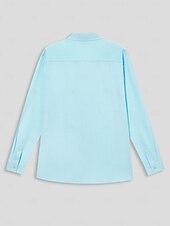 voordelige Klassiek-Voor heren Overhemd linnen overhemd Zomer overhemd Strand Kleding Overhemd met knopen Effen Casual Dagelijks blauw Lange mouw Revers Lente &amp; Herfst Kleding