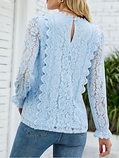 abordables Hauts en dentelle-Hauts en dentelle élégants pour femmes Blouse en œillets Élégant Haut en dentelle uni à manches lanternes à manches longues col en V Hauts romantiques petits pour l&#039;été Vacances de l&#039;été Rose Bleu