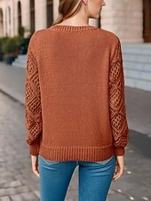 preiswerte Einfarbige Farben-Damen Pullover Elegant Feste Farbe Gehäkelt V Ausschnitt Strick Langarm Normale Oberteile Stricken Täglich Blau Fuchsie Frühling Herbst
