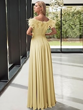 cheap YELLOW-A-Line Evening Gown Elegant Dress Formal Floor Length Sleeveless Off Shoulder Stretch Chiffon with Feather Pleats 2025