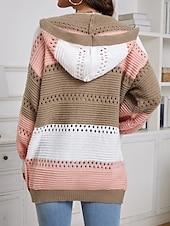 economico Cardigan e capispalla-Per donna Giacca maglione Maglione casual Informale Morbido Color Block Girocollo Con cappuccio Manica a lanterna Manica lunga Top regolari Maglia Esterno Giornaliero Fine settimana Rosa Autunno