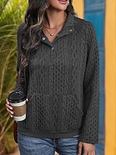preiswerte Einfarbige Farben-Damen Pullover Mode Uni Arbeit Alltag Casual Stehkragen Knöpfe Lockere Passform Langarm Schwarz Herbst Winter