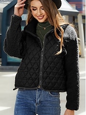 billiga quiltad kappa-Dam Fleece-jacka Håller värmen Dragkedja Mode Modern Ledigt Slät Arbete Dagliga kläder Dragkedja Kort Hög krage Lös passning Långärmad Ytterkläder Svart Vit Rubinrött Höst Vinter